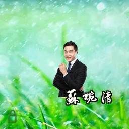 苏婉清